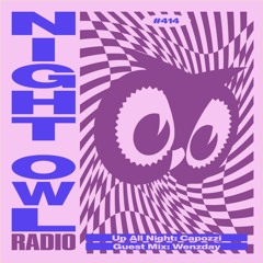 Night Owl Radio 414 ft. Capozzi and Wenzday