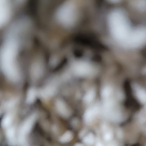 Reflexion  Created 2010  Instrumental