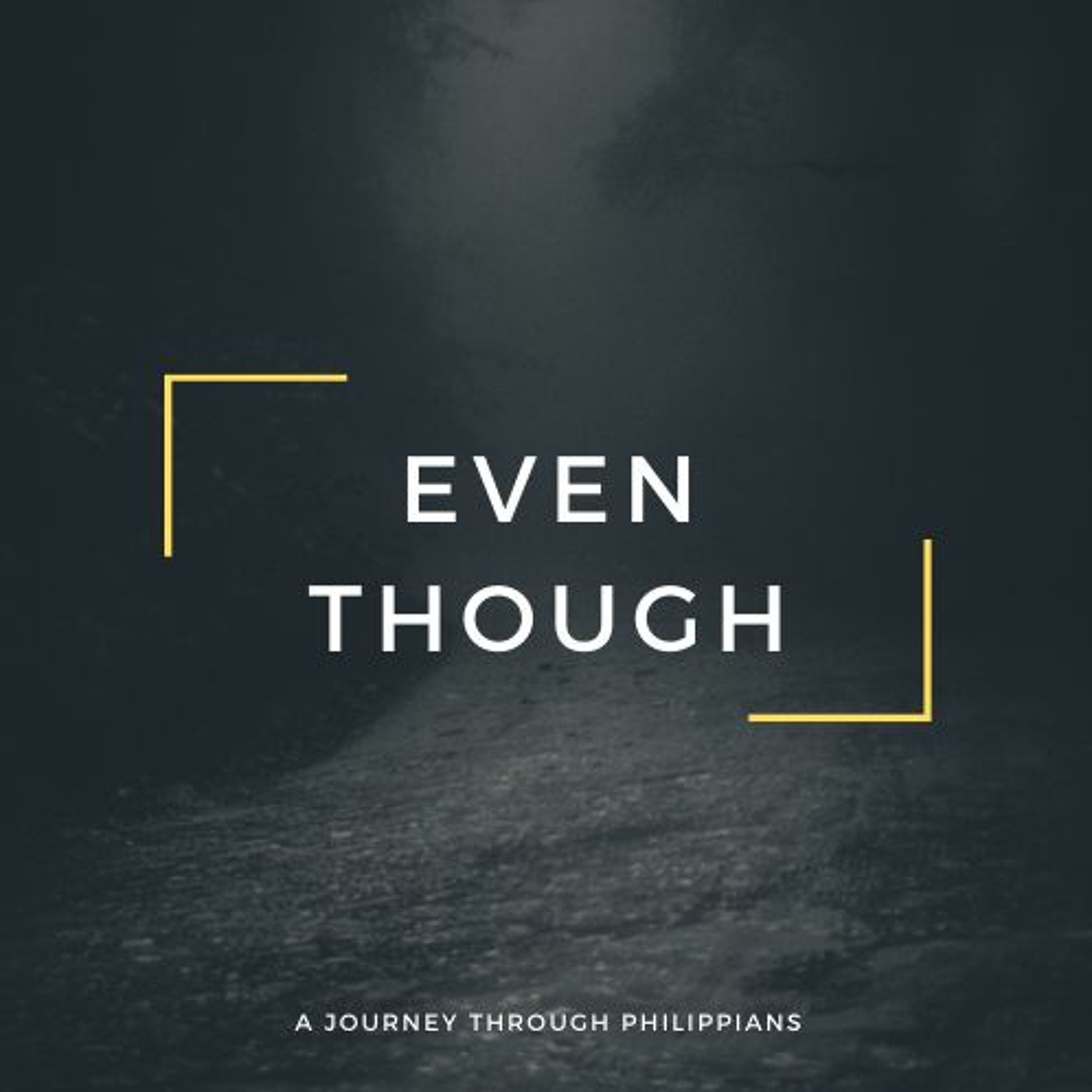 Sun 14th Feb 2021: A Reminder... // Mhairi Urquhart