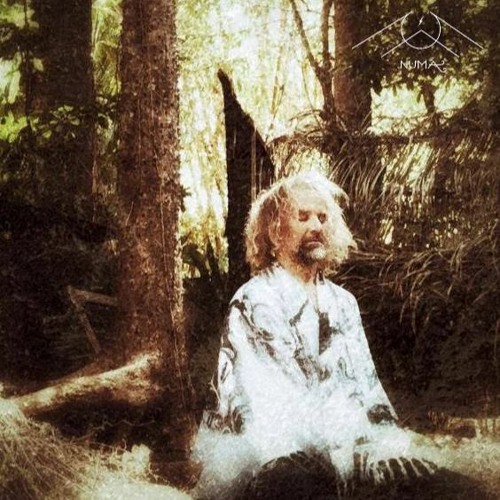 Ceibo Soundz - Light Portal FREE DOWNLOAD