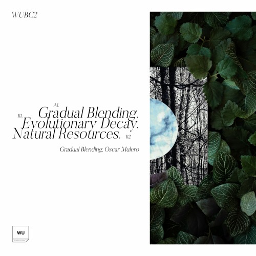 Oscar Mulero - Natural Resources