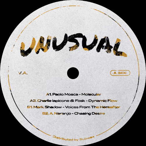 PREMIERE: Charlie Iapicone & Fosk - Dynamic Flow [Unusual Traxx]