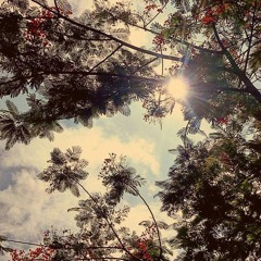 خواتيم سورة آل عمران | الشيخ أحمد السيد