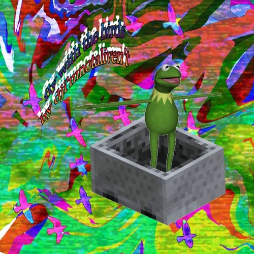 dji'mnotaliven't - fly with the birds