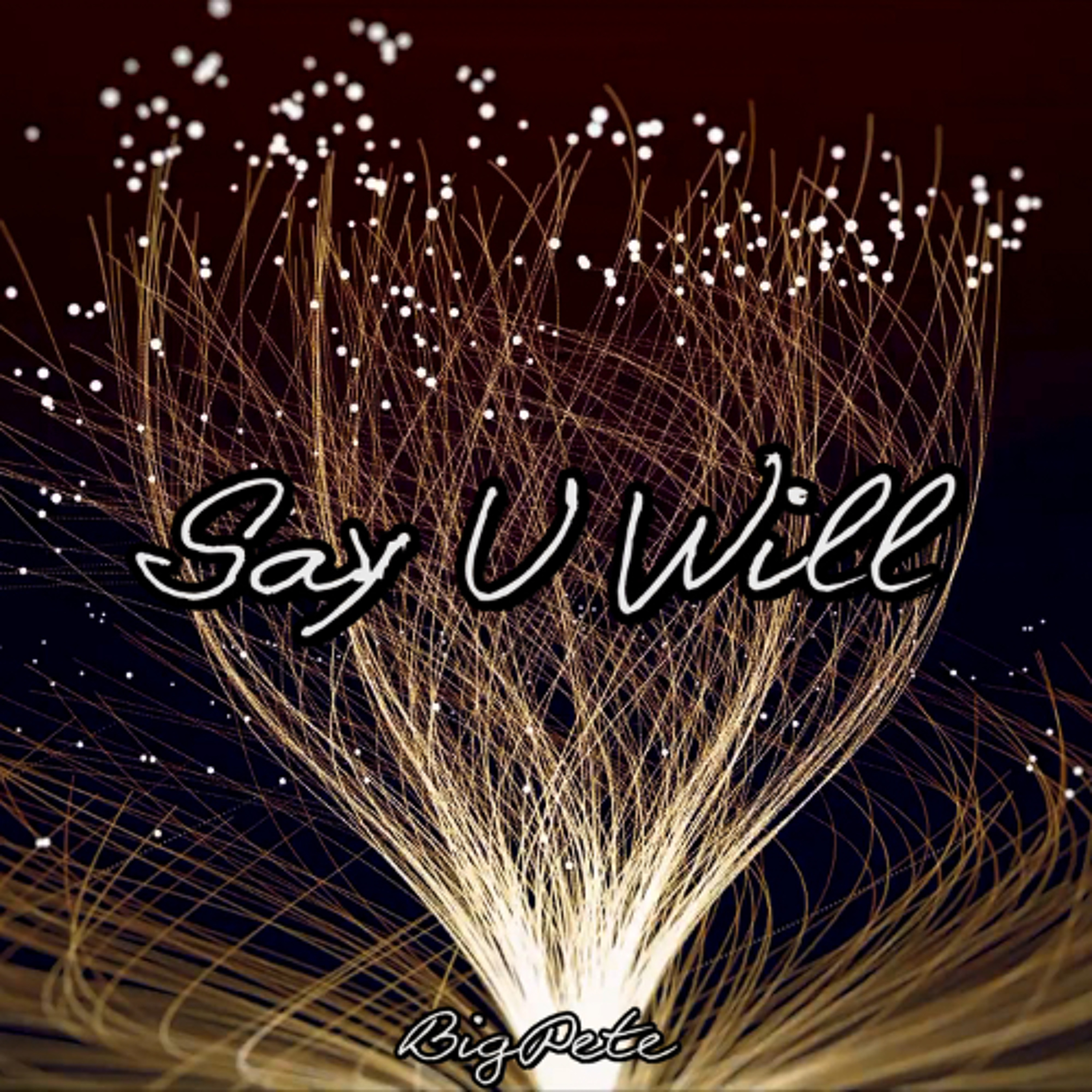 Say U Will episode artwork