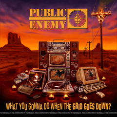 Public Enemy Number Won (feat. Mike D, Ad-Rock & Run D.M.C.)