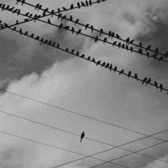 4am on newtown freestyle