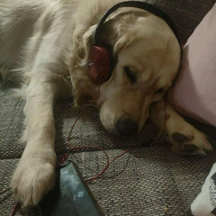 Bedroom Set - 06/12/2025