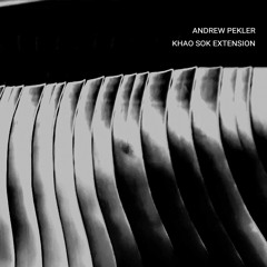 Andrew Pekler / Khao Sok Extension (excerpt)