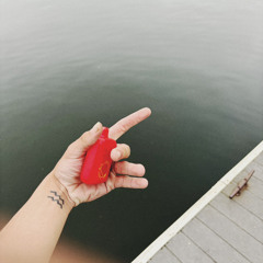 Set sail