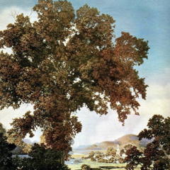TREE3