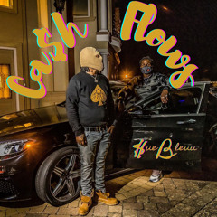 Sue Bleuu - Cash Flows