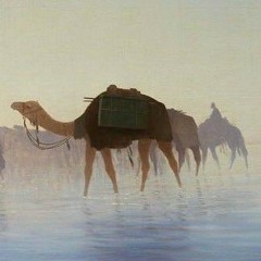 وداعًا أيتها الصحراء - أحمد بخيت