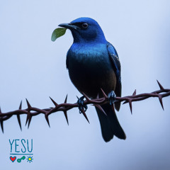 Yesu ft. The African Children's Choir (Extended Master) [FREE DOWNLOAD]