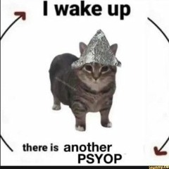 KallaKis RAW FREESTYLE 2019