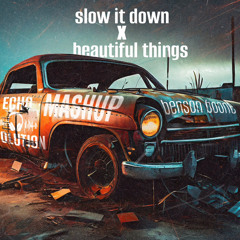 Beautiful Things X Slow It Down (EchoEvolution Mashup)
