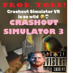 CRASHOUT SIMULATOR 3 (Prod. TODE!)