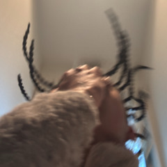 New Era (prod.Shunnn)