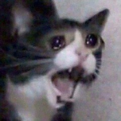 :,|