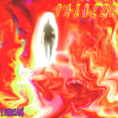 PAIN222 (prod. yung xan$)