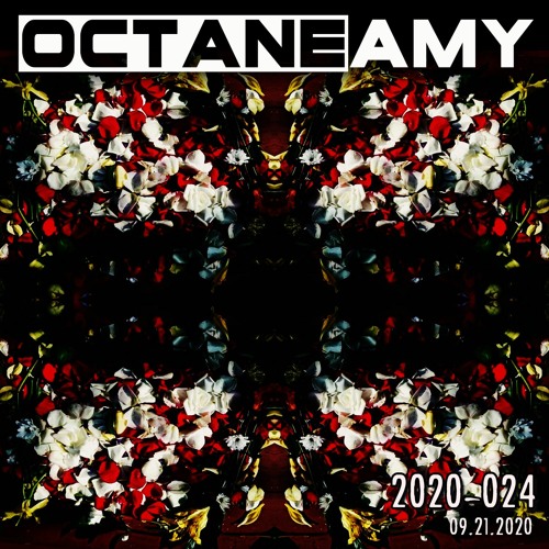 2020-024