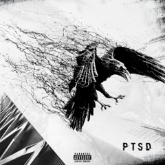 Zxphyr - Krähen In Vogelkäfigen