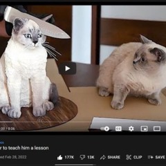 angyal mellettem (puppetramii)