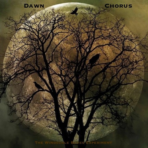 Dawn Chorus