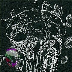 🄵🄾🄻🄺 🄰🄽🄳 🅁🄾🄻🄻
