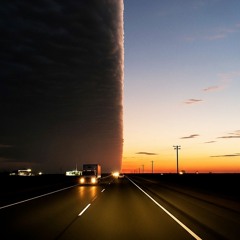 IRIS OUT Reze ver.cover