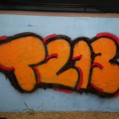 2021 sessions - TZ13