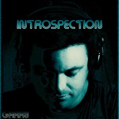 INTROSPECTION - GARRY - 300820