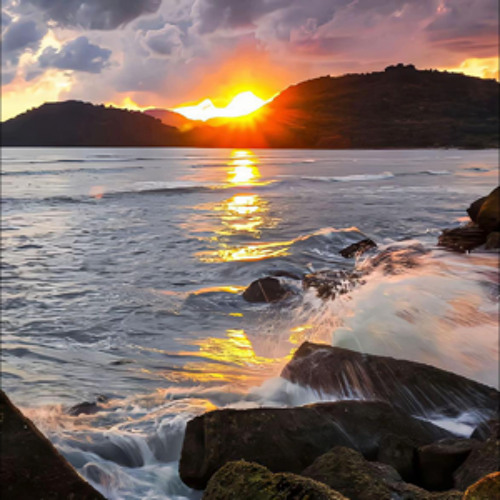 nhạc hay độc quyền