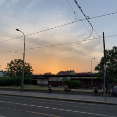 Там где расвет