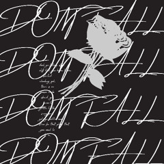 dont fall
