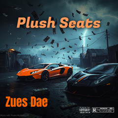 Plush Seats
