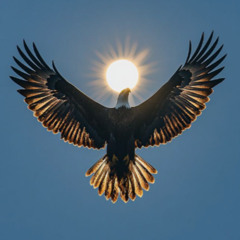 jshxwty - highs n lows (jshxwty) [slipbrick + uaintnojugger exclusive]