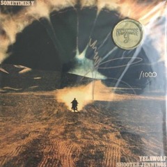Yelawolf, Shooter Jennings - Sometimes Y