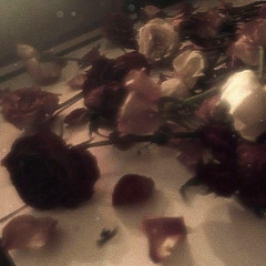 прогнившие цветы [prod. toemuro x akkiru1 x garconsgoth)