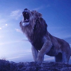 [무료비트]창모X해쉬스완 타입비트/싱잉랩비트/웅장한비트/King/Freebeat