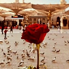 نظرة نظرة لي نظرة منكم يا أبا الزّهراء 💙