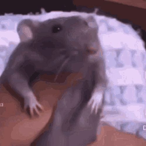Server List