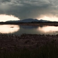 Padule di Fucecchio, Fucechio, Florence, ITALY