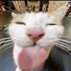 me shitting on the mic fr