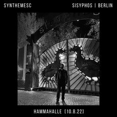 Synthemesc - Sisyphos Berlin // Hammahalle | [10.8.22]