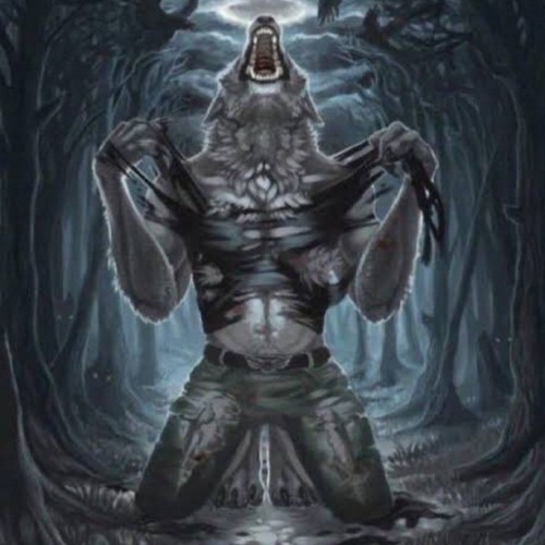 Wolf Workout @markds @Loog