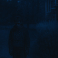 Сozy solitude