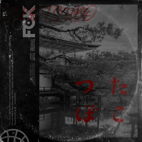 TAKOTSUBO