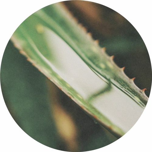CODECAST Y - Enkō - Dynamic Distortion