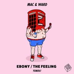 Mac & Ward - The Feeling